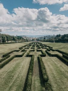 Maze
